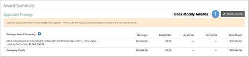 Screenshot of the Award Summary section